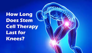 How Stem Cell Therapy for Knees Research Can Help You Improve Your Health